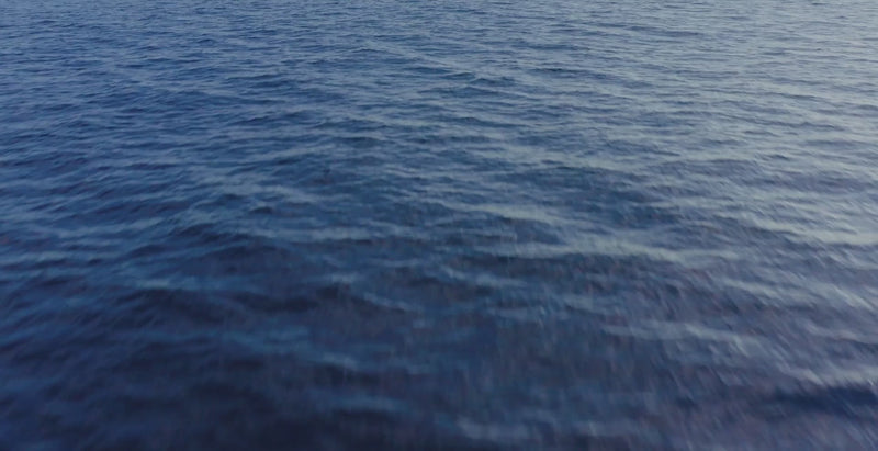 From Sea to Skin – Zeitlose Essentials aus SEACELL

Ein Moment zwischen Natur und Stil: SEACELL Boxer Trunks & T-Shirts verbinden Innovation mit zeitloser Ästhetik – für Männer, die Komfort, Hautpflege und Nachhaltigkeit schätzen.

Luftaufnahme über das Meer, Wellen treffen auf einen dunklen Sandstrand, Surfer reitet eine Welle aus der Fischperspektive, Close-up eines Models mit SEACELL Boxer Trunks und T-Shirt in ästhetischer Lifestyle-Szene.